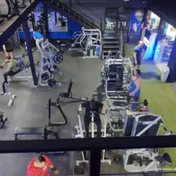 Evolution Gym