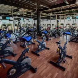 Elite Gym Wellness Center
