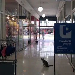 Galeria Pendon