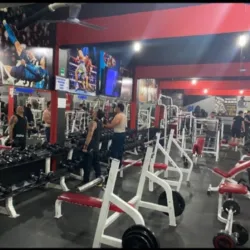 Champion Gym