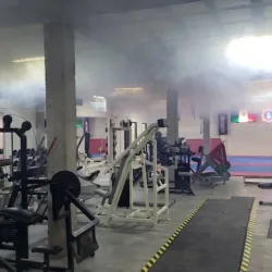 Animal Gym