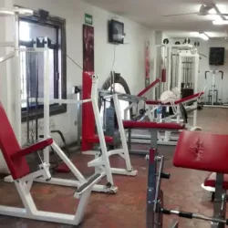 Millennium Adrenaline Gym