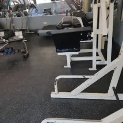 Evolution Gym