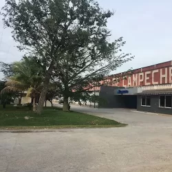 Triplay de Campeche