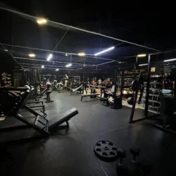 FORCE FITNESS