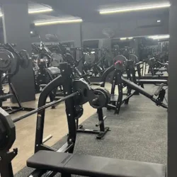 Masters Gym 300