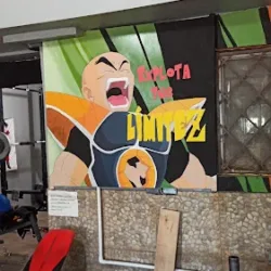 Zenkai Gym
