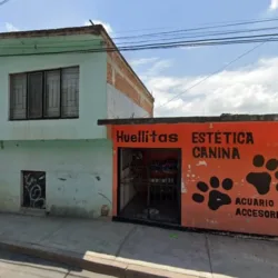 Estetica Canina Huellitas