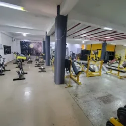 Iron Gym