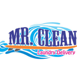Mr. Clean Laundry Delivery