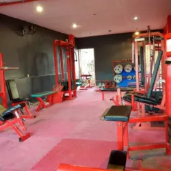 Red devil gym