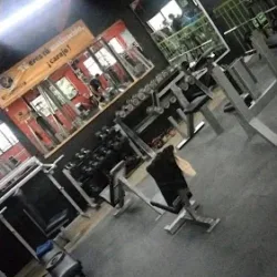 Steel Winner Fitness