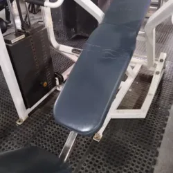Workout Nutricion And Fitness