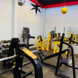 DL Fitness GYM av del mazo