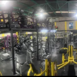 Más músculo fit