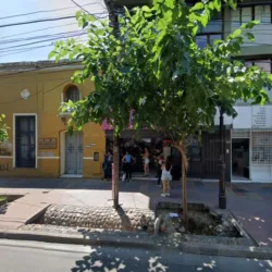 odonto