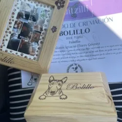 Crematorio para mascotas Huitzilli