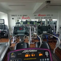 Gym VIE