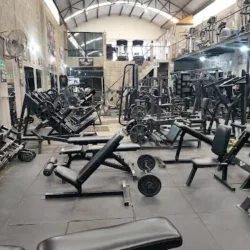 RETROFLEX GYM