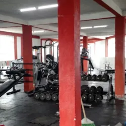 Gimnasio Mixto Xtreme Force