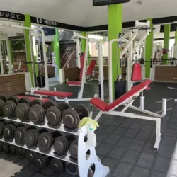 All Gym