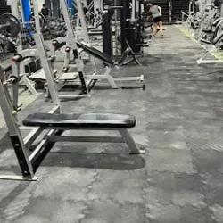 ANIMAL GYM Lerdo