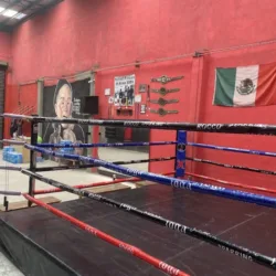 Rocco Sparring