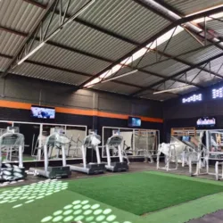 GYM 212LB PERFORMANCE