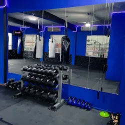 Blue Boxing