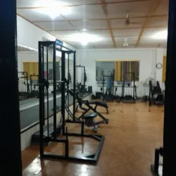 Brincos GYM