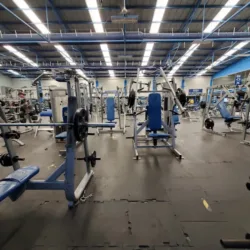 New Body Gym