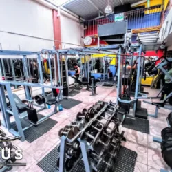 Zeus Gym