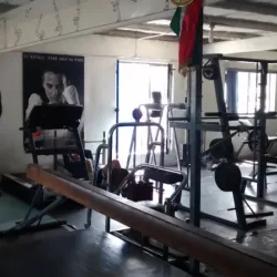 POLO GYM