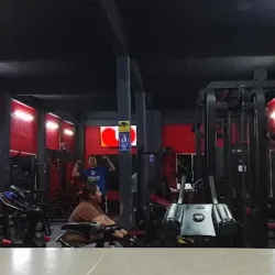 ZEUS GYM REFORMA