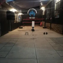 Boxeo estilo profesional PROFESOR JIMMY