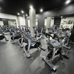 Vital Fitness Gym
