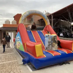 Alquiladora ARAL