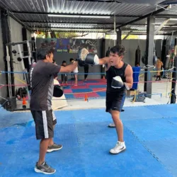 Pool Boxing Playa del Carmen