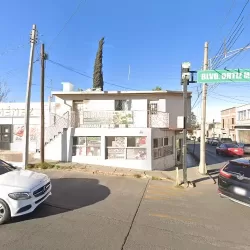 Bordados Profesionales