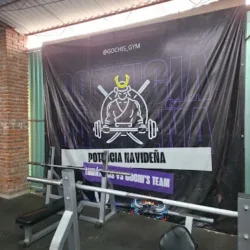 Gochis Gym