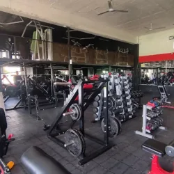 Gym Active 300