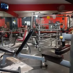 Bull Gym Matamoros