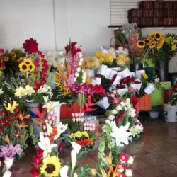 Florería Santa Anita