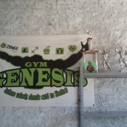 GÉNESIS GYM RINCON.