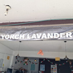 AquaYorch
