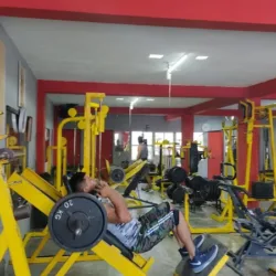 GYM Mr. México