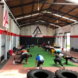 ALPHA , ENTRENAMIENTO DEPORTIVO ESPECIALIZADO