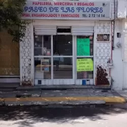 Papelería y Mercería Paseo de las Flores