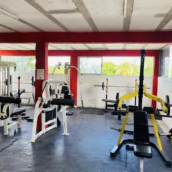 Mundo fitness