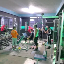 GYM LADY'S ONE